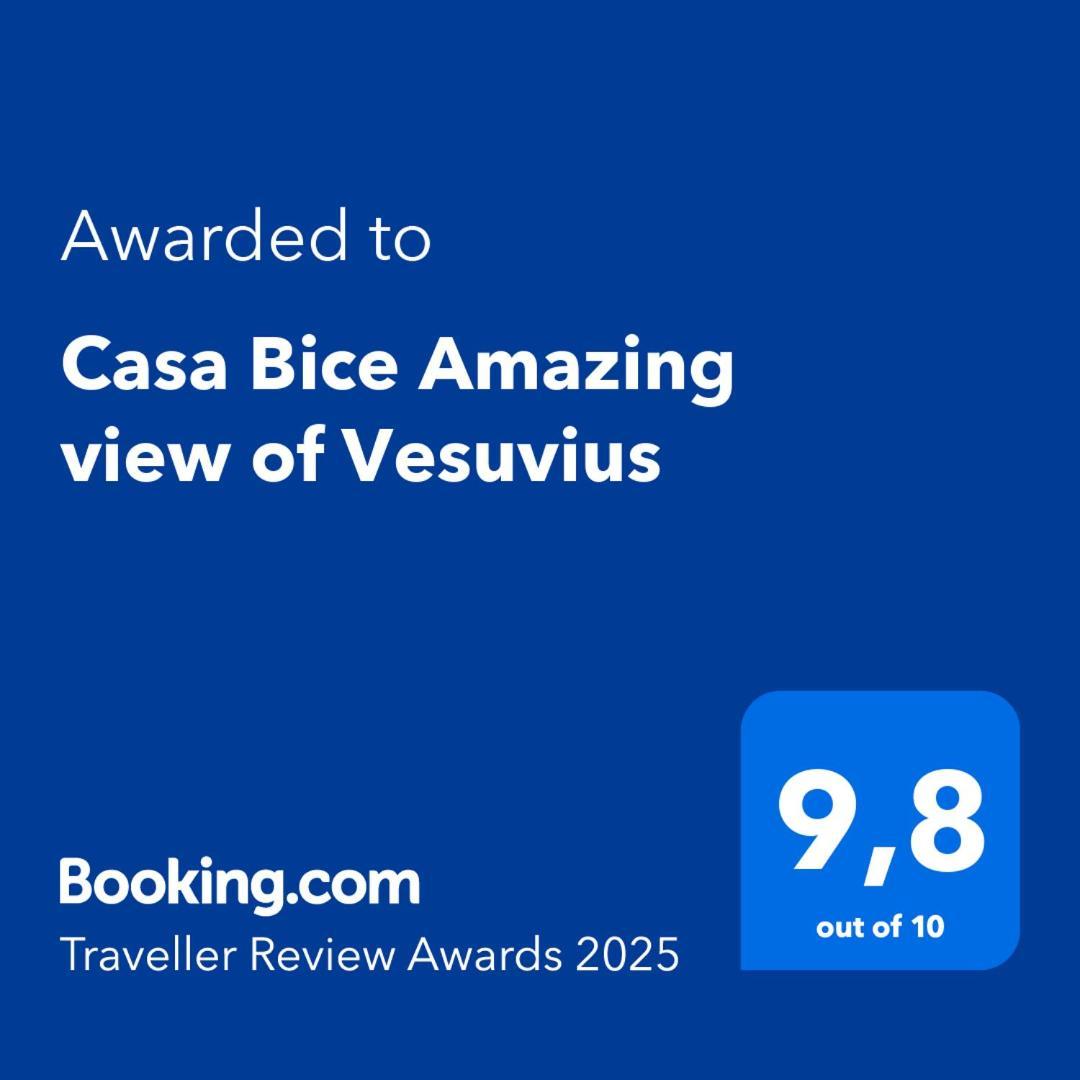 Casa Bice Amazing View Of Vesuvius Apartment Sorrento Luaran gambar